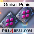 Großer Penis 01